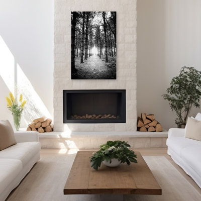 Coucher de soleil sur les pins - Photographie contemporaine, paysage, forêt