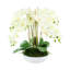 Orchid Arrangement in Round Fiberstone Pot-1233830117
