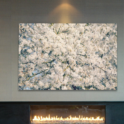 In Full Bloom by Robert Dickinson - Wrapped Canvas Print