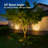 Perle LED Pathway Spotlight Colour Temperature Selectable Low Voltage Landscape Light-53764195