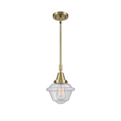 Luminaire suspendu simple à 1 lumière