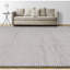 Windsom Geometric Area Rug in Brown