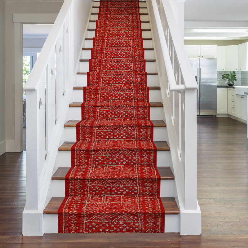 Runner Bansil Indoor Area Rug, Runner 510cm x 70cm