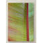 « leaf texture vi », reproduction de photo sur toile tendue-32708905