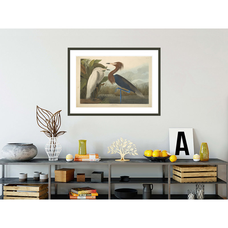 «Heron from The Birds of America 1827 - 38» par John James Audubon, impression giclée encadrée, H 30,4 po x l 41,5 po