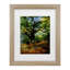 Claude Monet, «Bodmer Oak, Fontainebleau Forest», art encadré mat-1620135086-1620135087