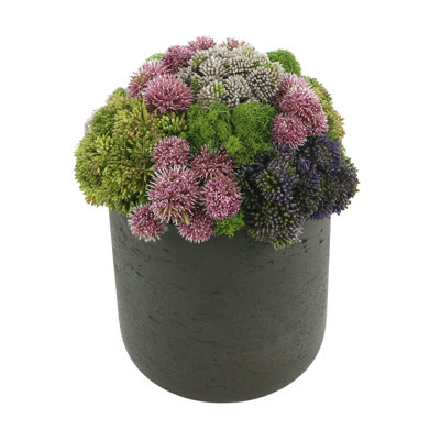 Polysilk Succulent Arrangement in Pot