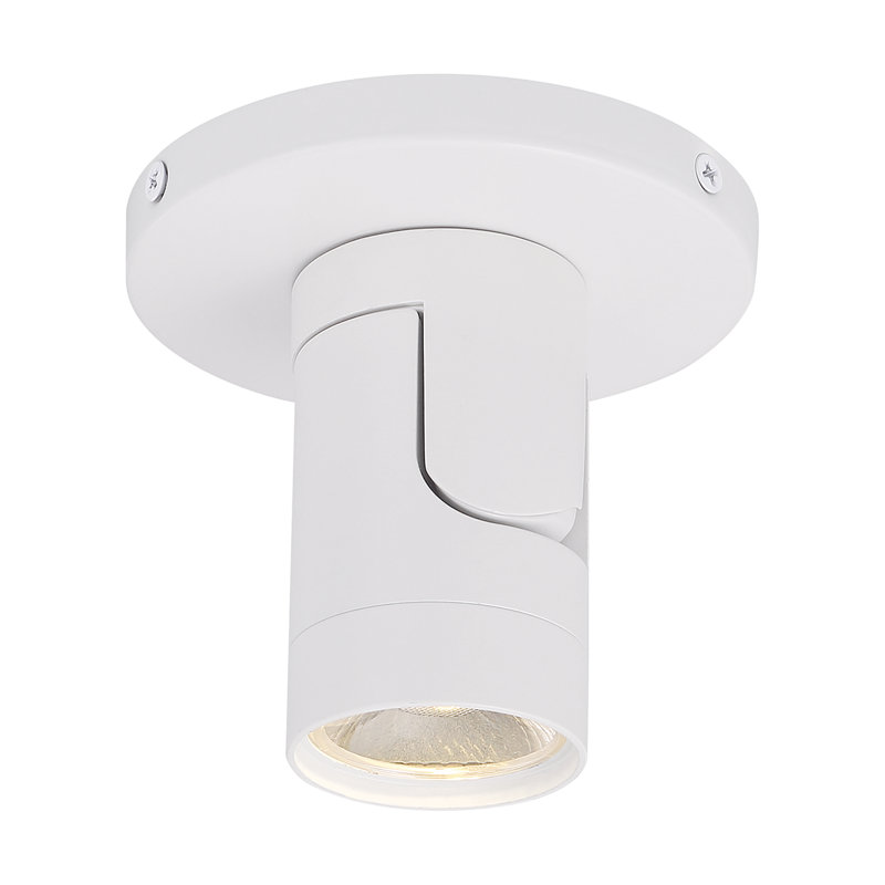 Aalivia LED Flush Mount, White