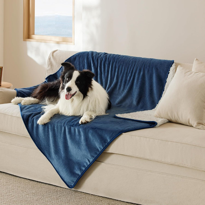 Flannel Pet Blanket, Blue, 50" x 60"