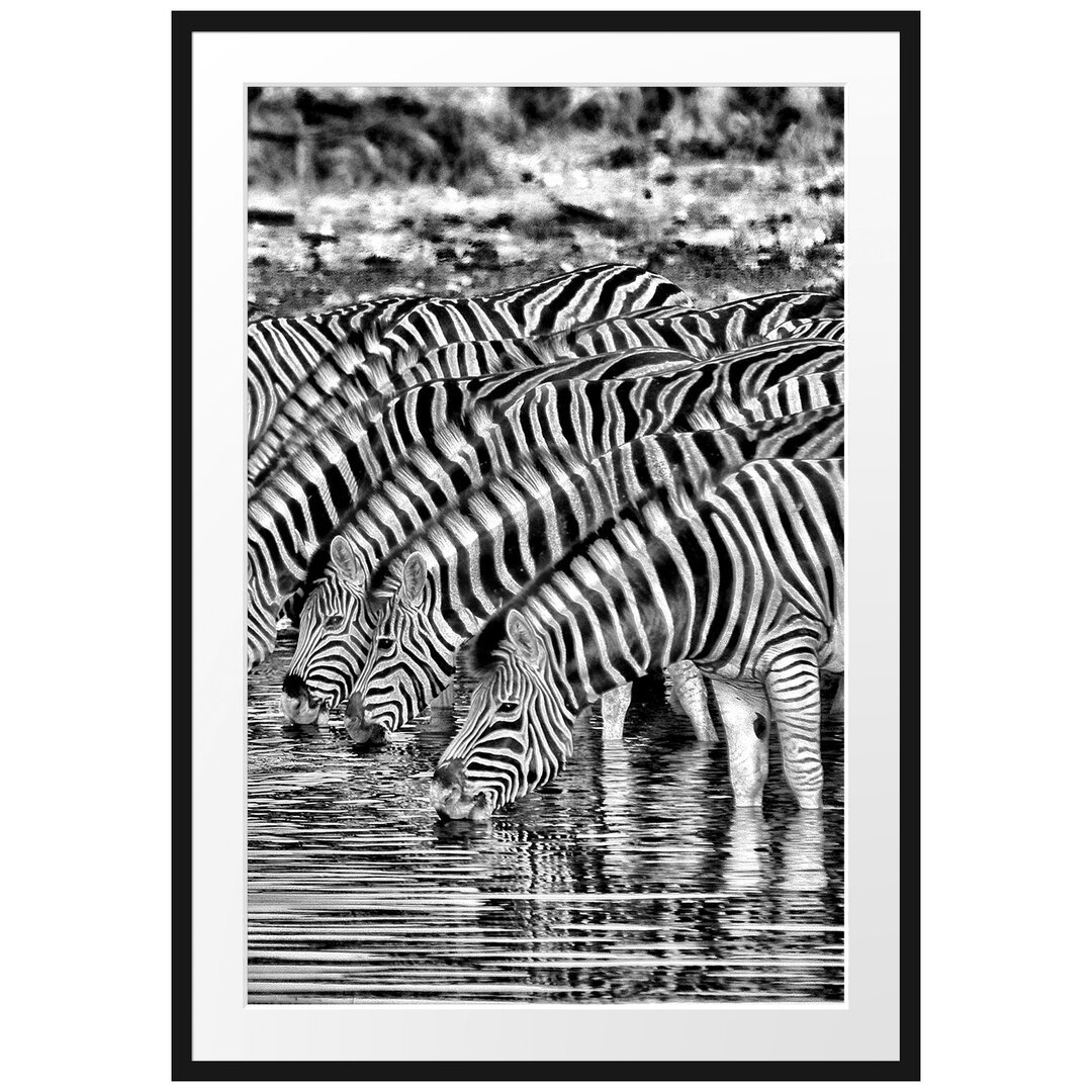 Gerahmtes Poster Safari mit Zebras in Afrika