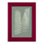 Ferns On Sage IX, reproduction d'art encadrée-90586081-90586080