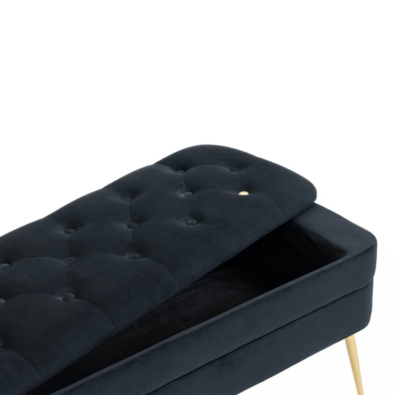 Banc de rangement en velours Aliasgar, Noir