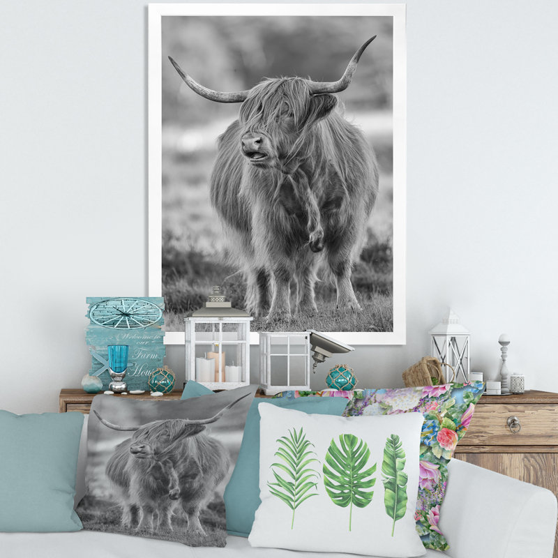 Gros plan sur un taureau - photographie sur toile, H 40 po x l 30 po x 1,5 po, Cadre blanc