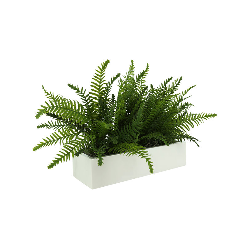 Outdoor UV Rated Ferns Arranged in Fiberstone Planter, 16" H x 27" W, White