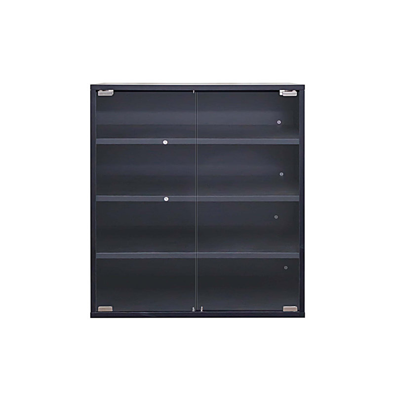 Armoire de rangement pour chaussures avec porte en verre, Noir