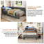 Upholstered Daybed-625624218-625624197