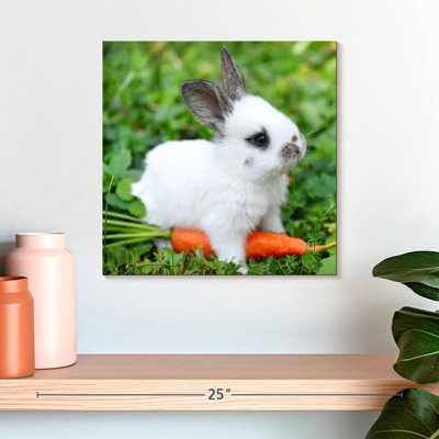 Crowle Baby Rabbit With Carrot