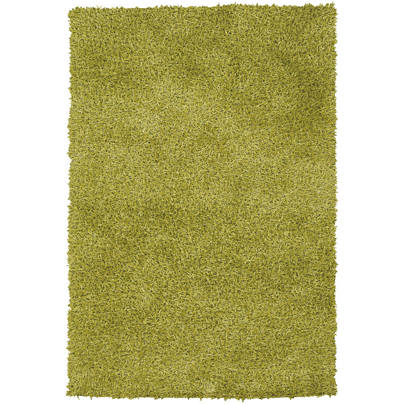Tapis vert tissé à la main Latitude Run® Zara Vert, Rectangle 5 pi x 7 pi 6 po