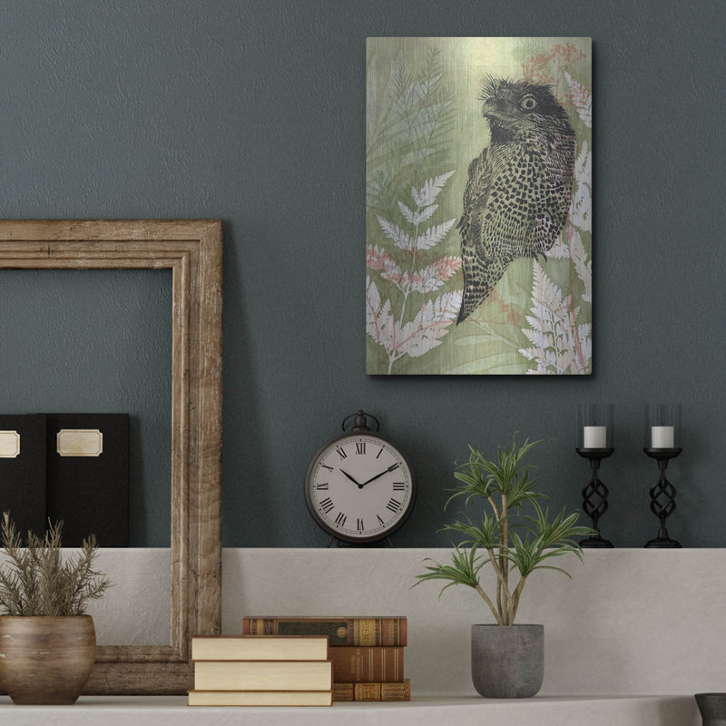 «Tawny Frog Mouth» par trudy riz, H 16 po x l 12 po