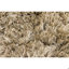 Celecot Area Rug-1082020149-1180810069