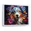 Chien berger australien Allure II-1995067140-1995067166
