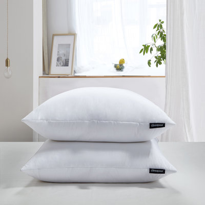 Beautyrest Softy-Around Feather And Down Euro Pillow