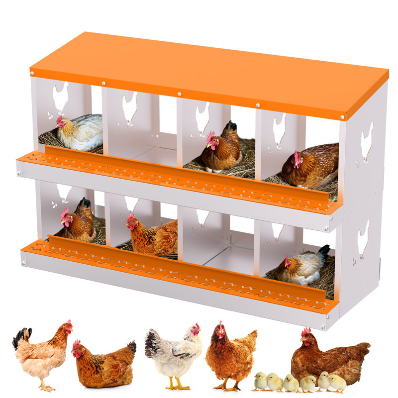 Boîte de nidification pour poulets, boîtes de ponte pour poulets en acier galvanisé à 8 compartiments, boîtes de nidification pour poulets, collection Easy Egg pour poulailler, arrière-cour, fermes
