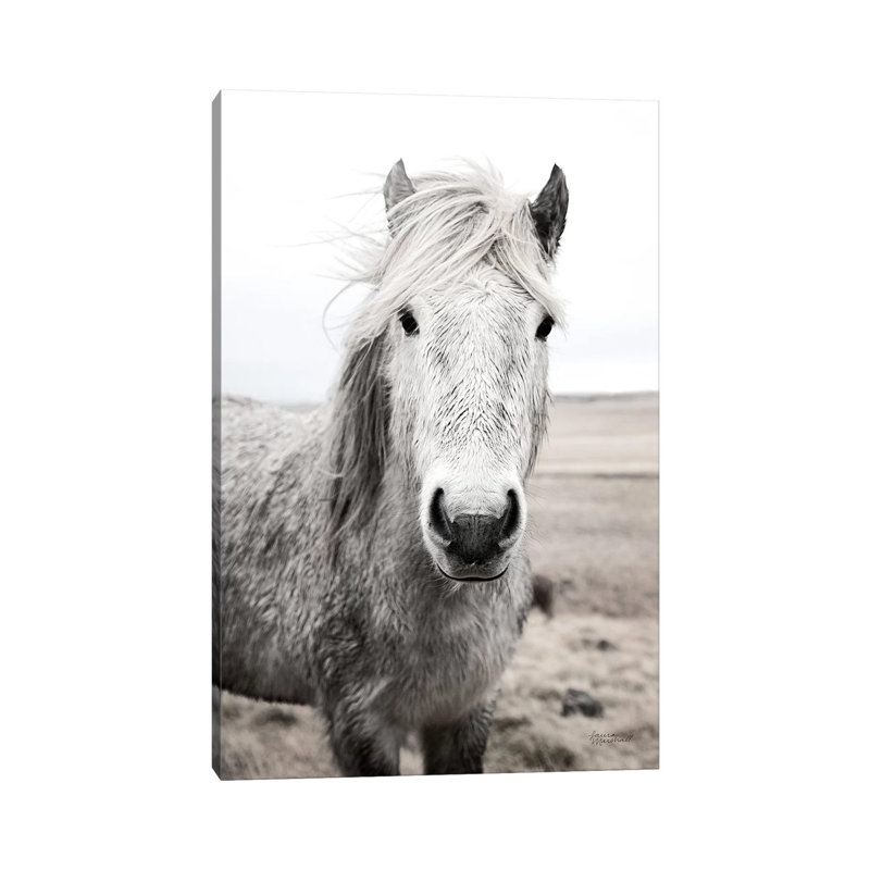 Heida I BW by Laura Marshall - Gallery-Wrapped Canvas Giclée on Canvas, 30.48 cm H x 45.72 cm W, Wrapped Canvas