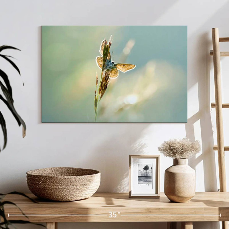 Brampt Icarus Butterfly, 16" H x 24" W