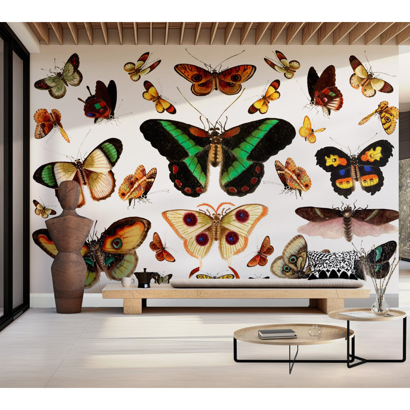 Papier peint de qualité supérieure - Papillons colorés, L 108 po x l 150 po