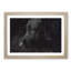 Black Labrador Retriever Painting - Single Picture Frame Print on MDF-56632871-56632870