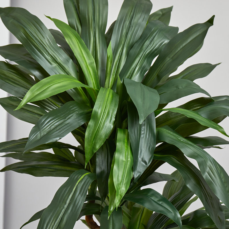 Plante dracaena artificielle 50,5" en pot à fleurs