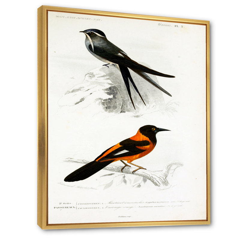 Oiseau rétro II - peinture sur toile, H 32 po x l 24 po x P 1 po, Cadre flottant doré