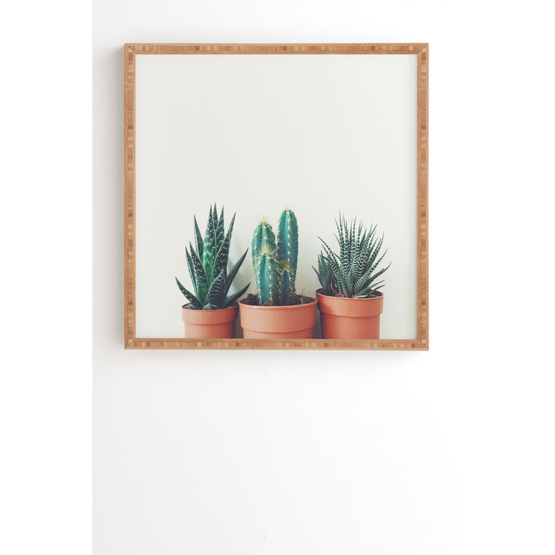 « poted plantes », reproduction de photo, H 20 po x l 20 po x P 2 po, Armature en bambou, Pas de tapis