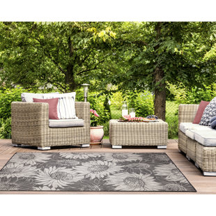 https://assets.wfcdn.com/im/69781228/resize-h310-w310%5Ecompr-r85/1740/174045765/bergholt-black-indooroutdoor-rug.jpg