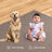 Furnish my Place Modern Indoor/Outdoor Commercial Solid Color Rug - Pet and Kids Friendly Rug, Stain Resistant, Floor Carpet for Living Room & Hallway, Wedding - Brown-833250515