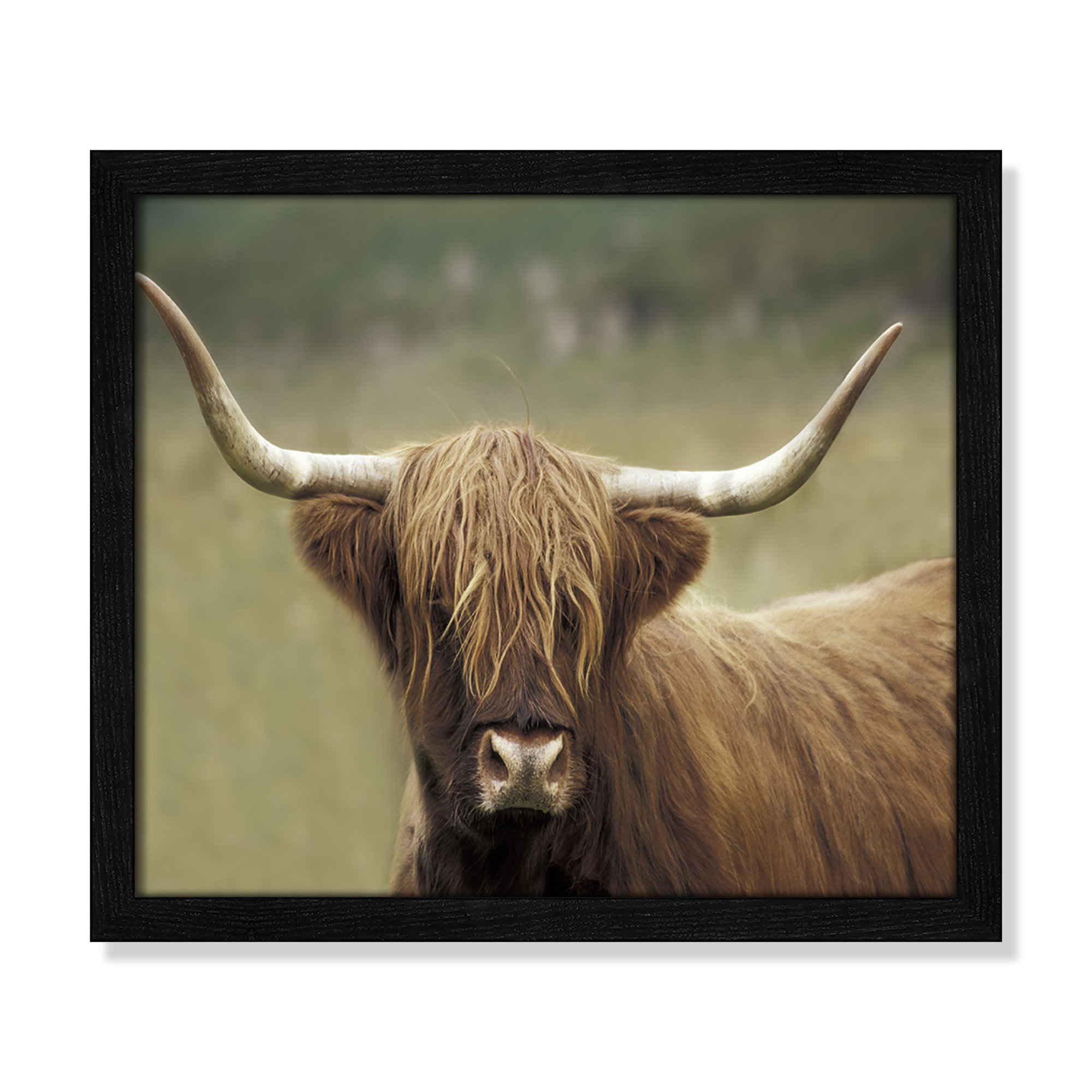 Highland Afternoon by Danita Delimont - Picture Frame Photograph, Black Wood Grain Framed, 13" H x 15" W x 0.75" D