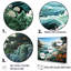 Paysage de plage sauvage sur toile-1638259220-1638259219