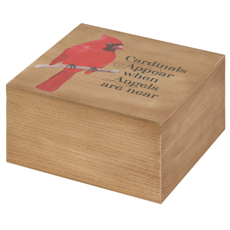 Cardinals Appear Angel