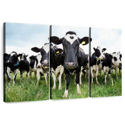 Brampt Holstein