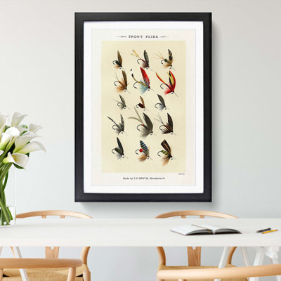 Trout Fishing Flies Version 3 by Mary Orvis Marbury - Framed Print