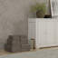 Shagreen Accent-868732419