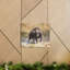 No Frame Print on Canvas-100038964