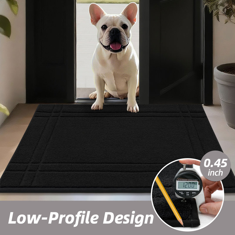 Non-Slip Doormat, Machine Washable Absorbent Entryway Rug for Shoes & Paws, Stain Resistant Low Profile Door Mat for Indoor Front/Back Entry
