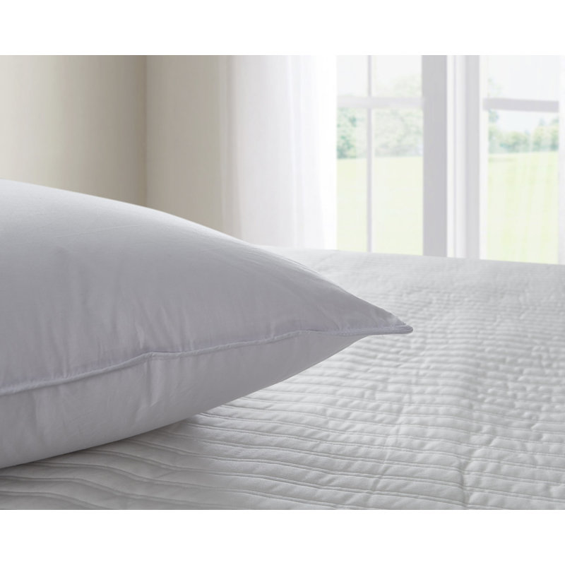 Jumbo Hypoallergenic Tencel and Polyester Pillow Set
