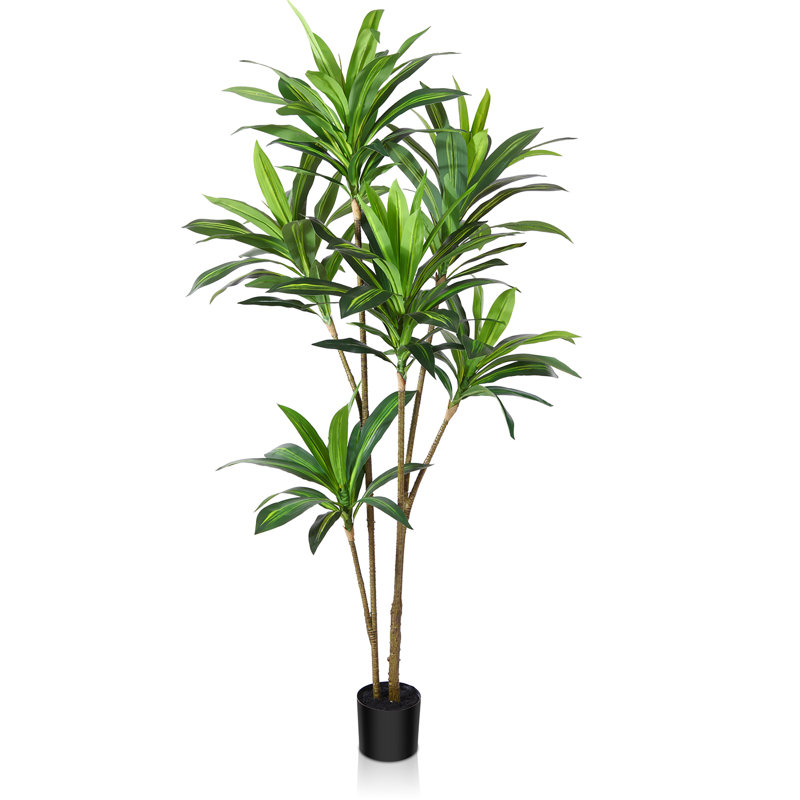 Adcock Artificial Dracaena Tree in Plastic Pot for Indoor/Outdoor Use, 71" H x 30"D x 11.44" W