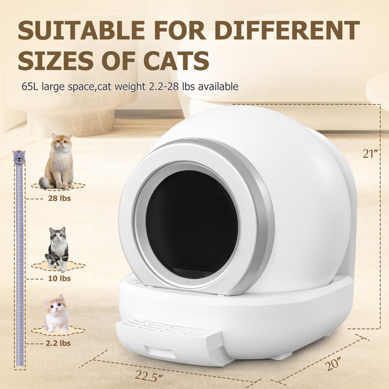 White Smart Self-Cleaning Cat Litter Boxes, Automatic Litter Box with App Control