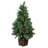 LED Artificial Pine Cone & Berry Pine Tree, 48"H