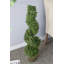Topiaire de buis 36 po en pot