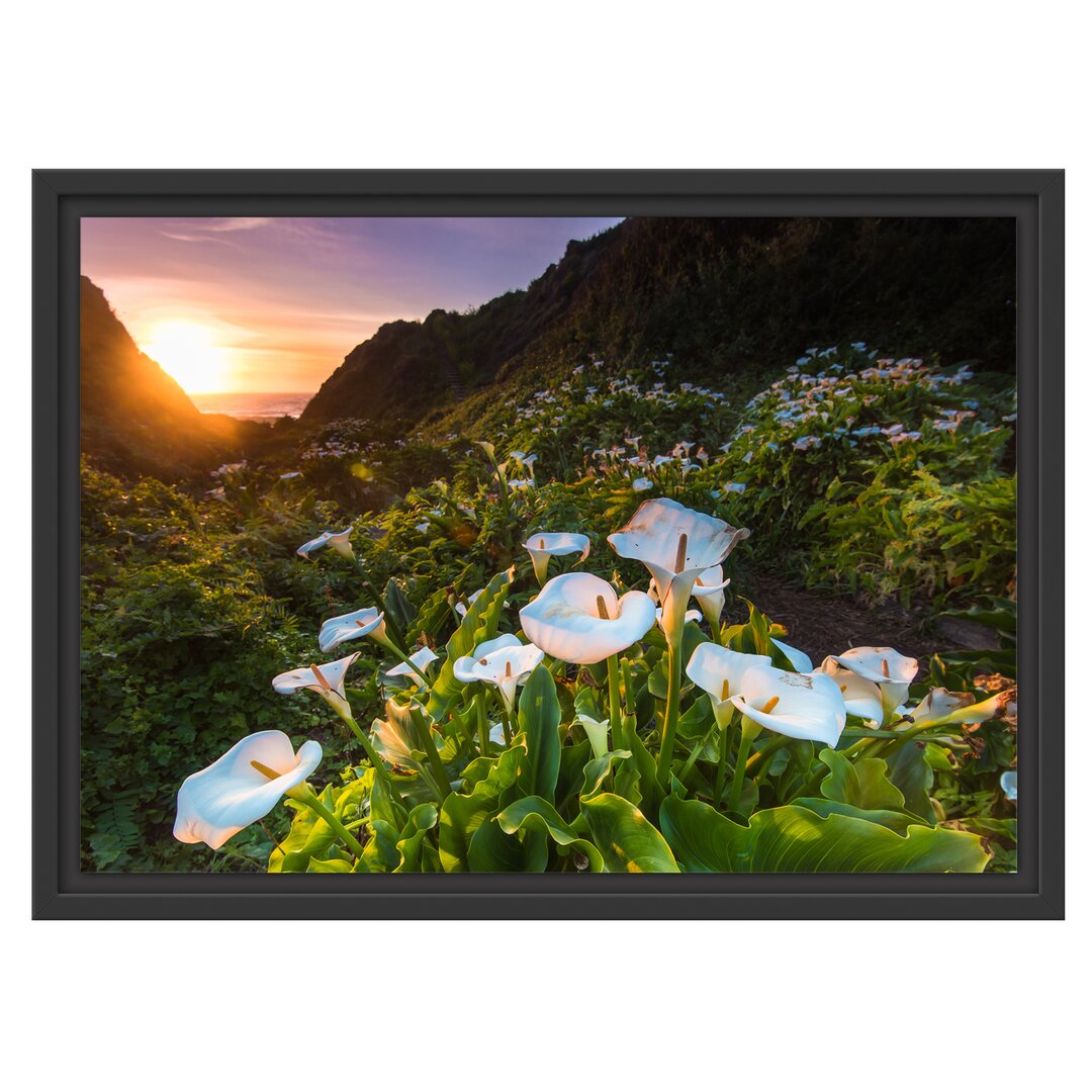 Gerahmtes Wandbild Blumenwiese in den Bergen